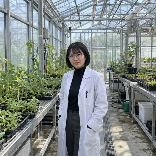 Yuki Tanaka