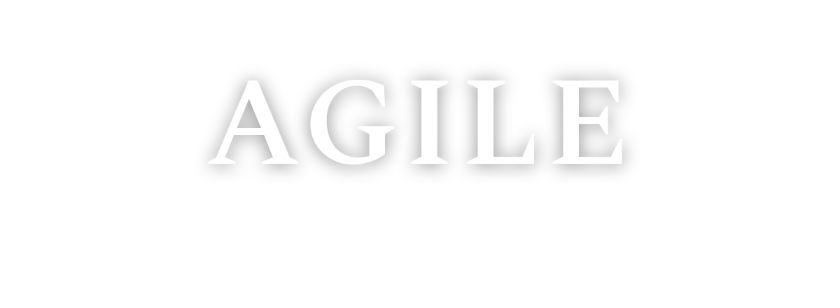 Agile logo
