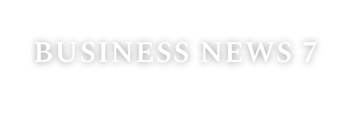 Business News 7 logo