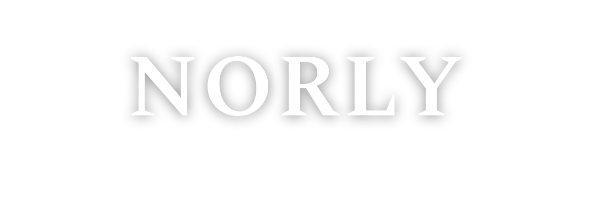 Norly logo