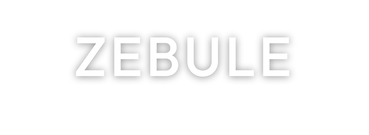 Zebule logo