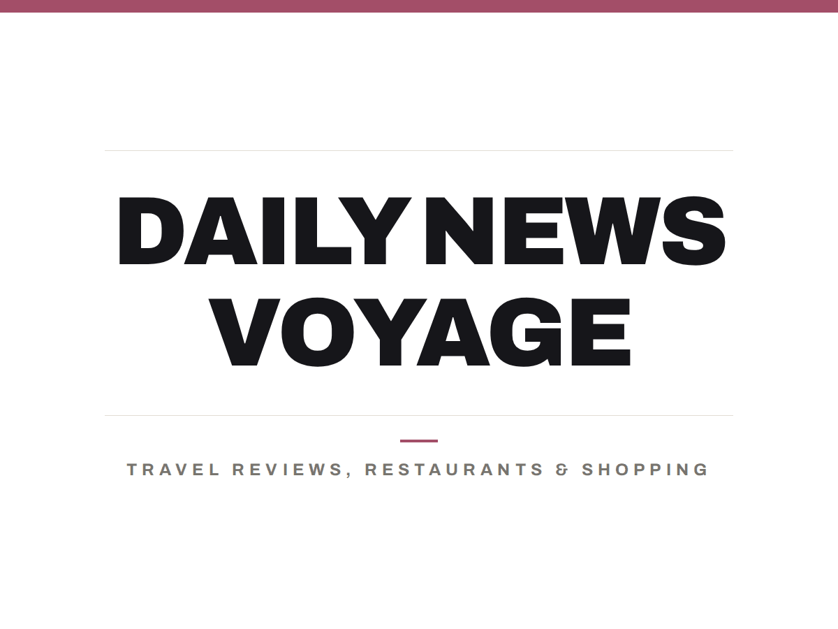 Daily News Voyage logo