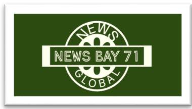 news bay